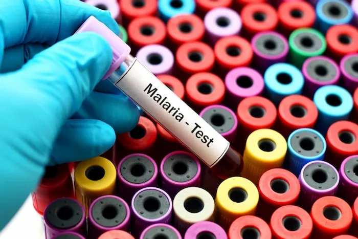 Malaria