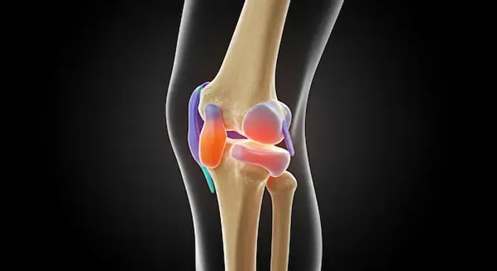 Synovial Fluid