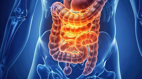 What Leads To Signs Of Lynch Syndrome