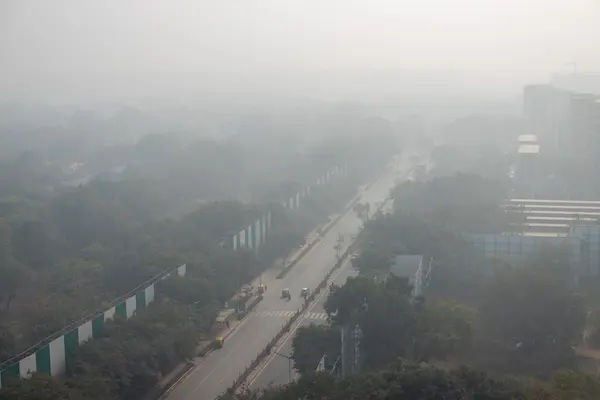 Protect Lungs During Winter Pollution In Delhi