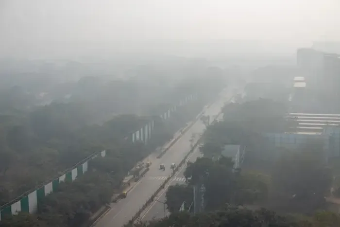 Protect Lungs During Winter Pollution In Delhi