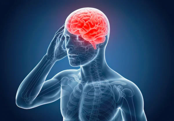 Guide to Blood Pressure And Brain