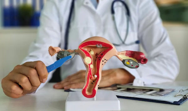 Your Essential Guide to Choosing the Right Gynaecologist
