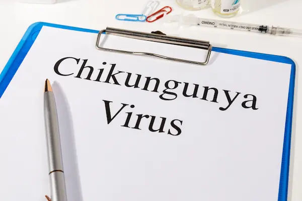 Chikungunya Virus And Prevention