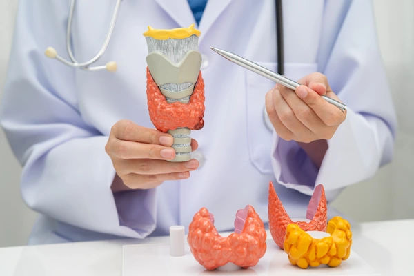 What Leads To Signs Of Thyroid Disease Test And Types