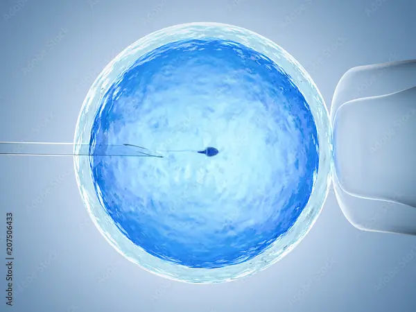 Ivf