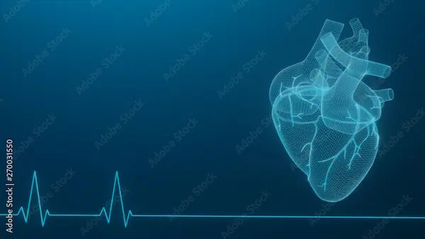 cardiology