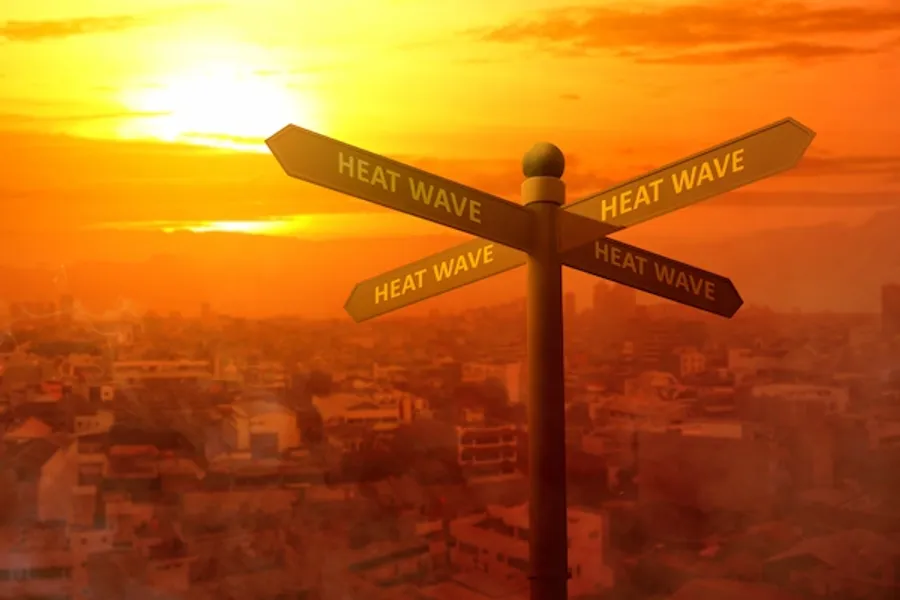 Hot Wave Effect Your Essential Guide to Heatwave Safety and Health Effects