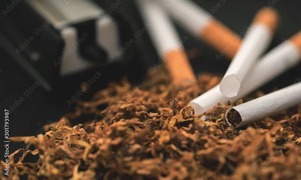 Tobacco Effects on Heart Brain And Skin