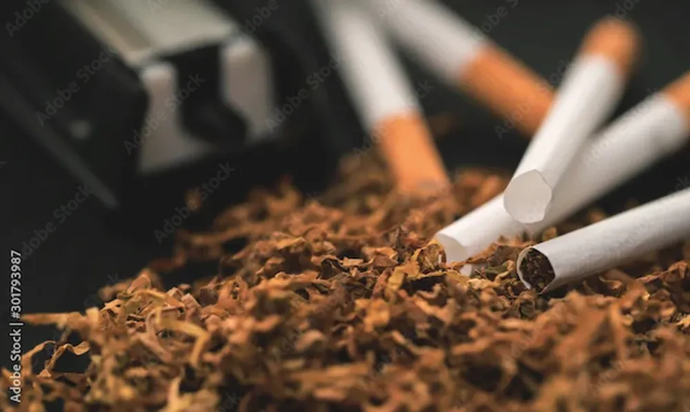 recycling cigarette filters for money From Butts To Bricks, This Is The Plan To Recycle Cigarettes Into  Construction Materials