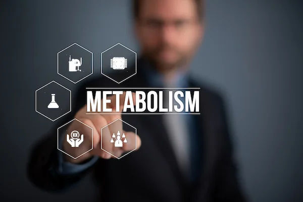 Ways To Slow Down Your Metabolism