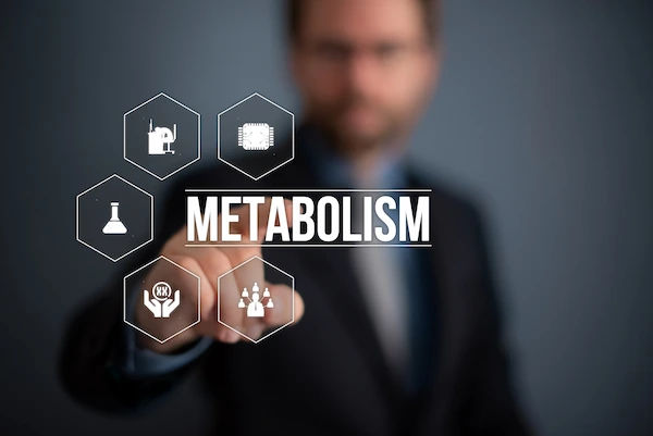 metabolism