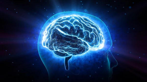 Navigating Brain Damage: A Guide to Types, Recovery, and Hope