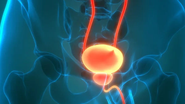 Understanding Prostate Cancer: The Role of Genetics and Family History
