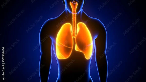 Respiratory Acidosis: Symptoms, Causes, and Treatment Guide