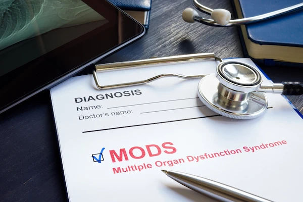 mods