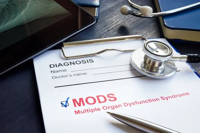 mods