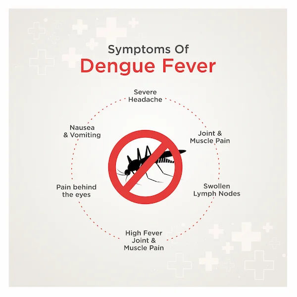 Guide to Wondering Whether Dengue And Chikungunya Are Similar Diseases