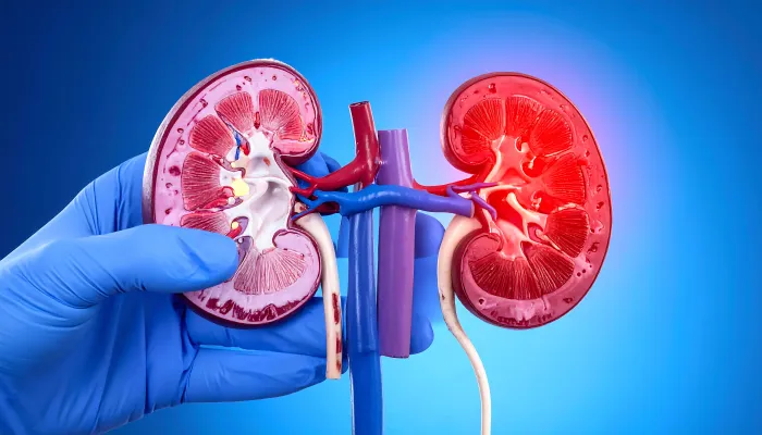 Chronic Kidney Disease Stages Recognising the Signs Early