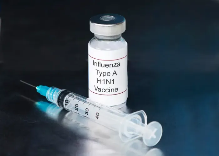 Swine Flu (H1N1); Symptoms, Prevention, and Expert Tips to Stay Safe