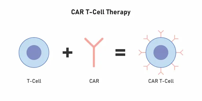 Car T Cell Therapy