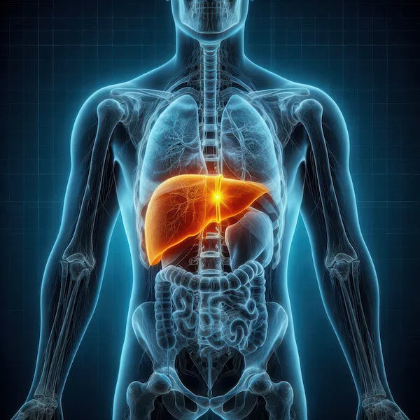 What Leads To Common Liver Problems? A Comprehensive Guide