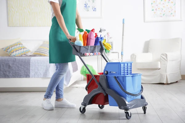 home hygiene