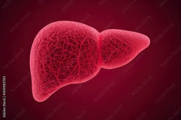 Guide to Awareness About Liver Disease