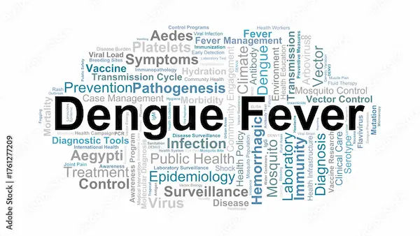 Signs Of Dengue Fever Diagnosis And Prevention
