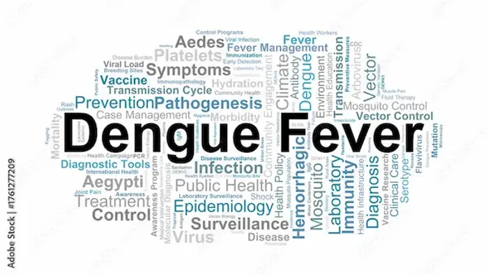 Signs Of Dengue Fever Diagnosis And Prevention
