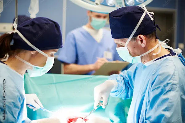 What Happens During A Kidney Transplant?