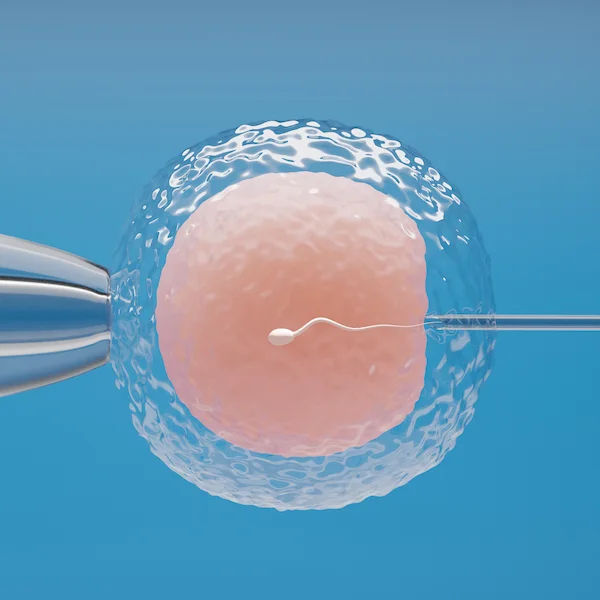 Your IVF Journey Explained: Answering the Top 20 Questions