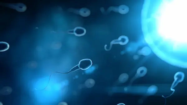 Sperm Go After Hysterectomy