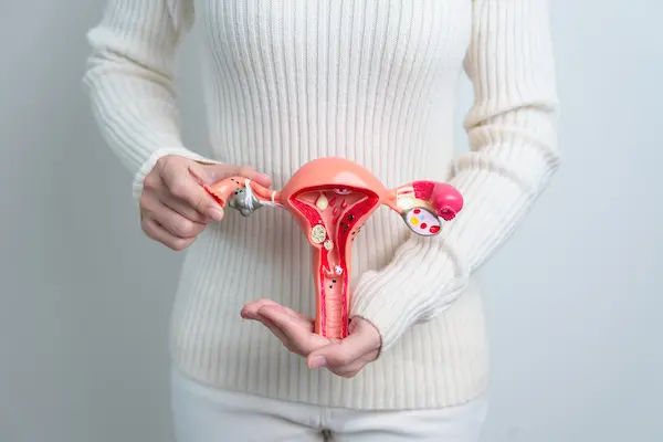 Estrogen After Menopause And Hysterectomy