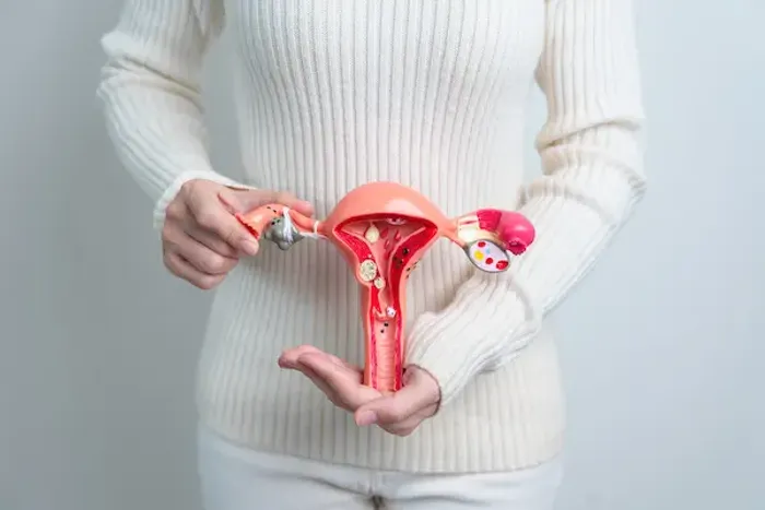 Estrogen After Menopause And Hysterectomy