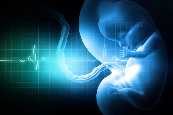The New Beat of Heart Care: A Guide to Advancements in Cardiology Procedures