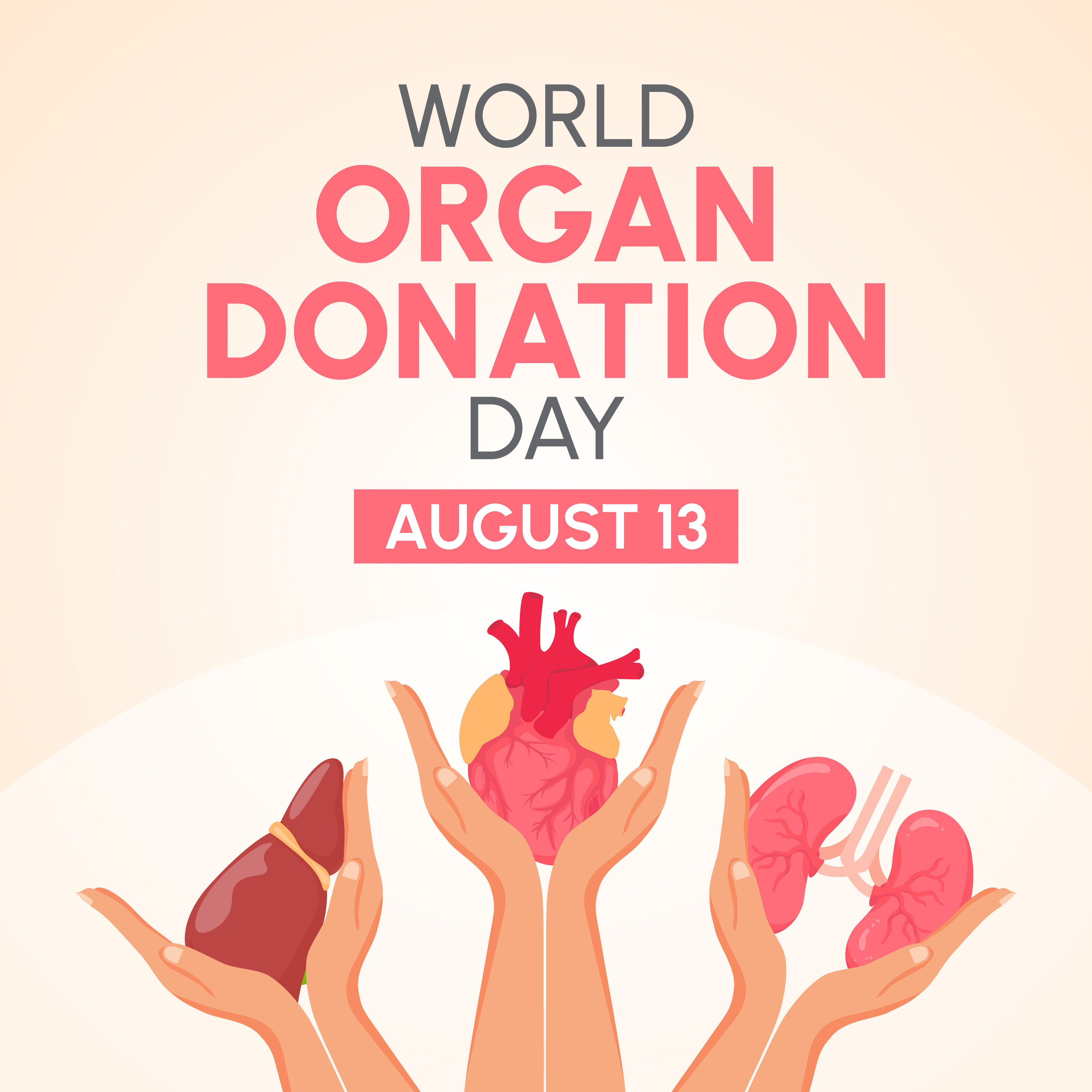 Here's What You Need to Know About Being an Organ Donor
