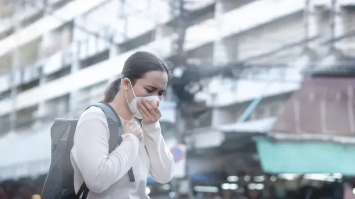 Guide to Effects Of Air Pollution On Lungs