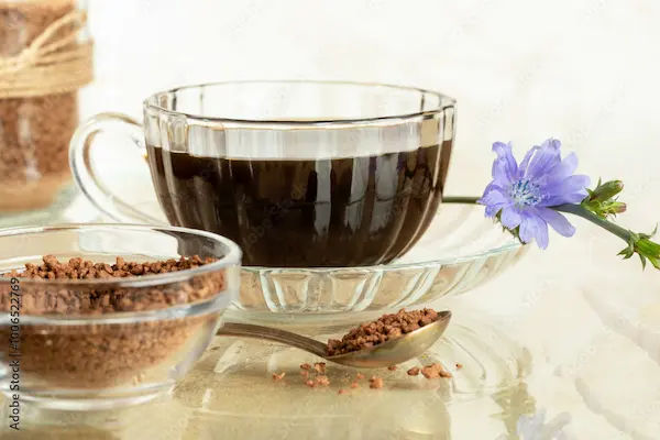 Chicory in Ayurveda: Benefits, Uses, and Side Effects