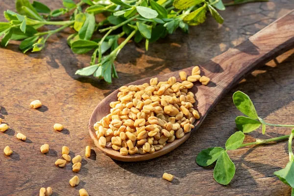 fenugreek seeds