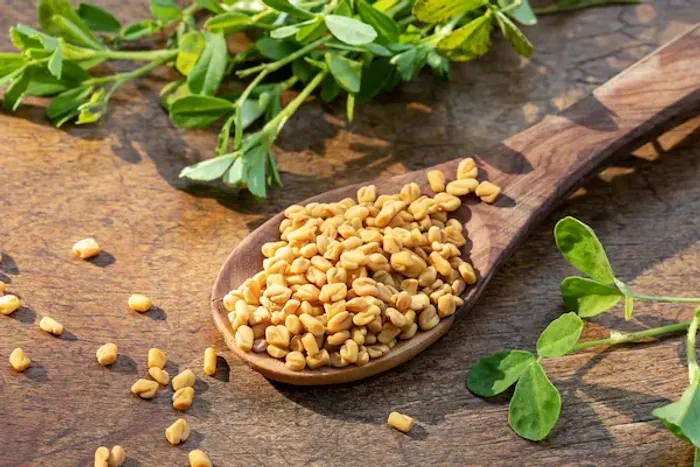 fenugreek seeds