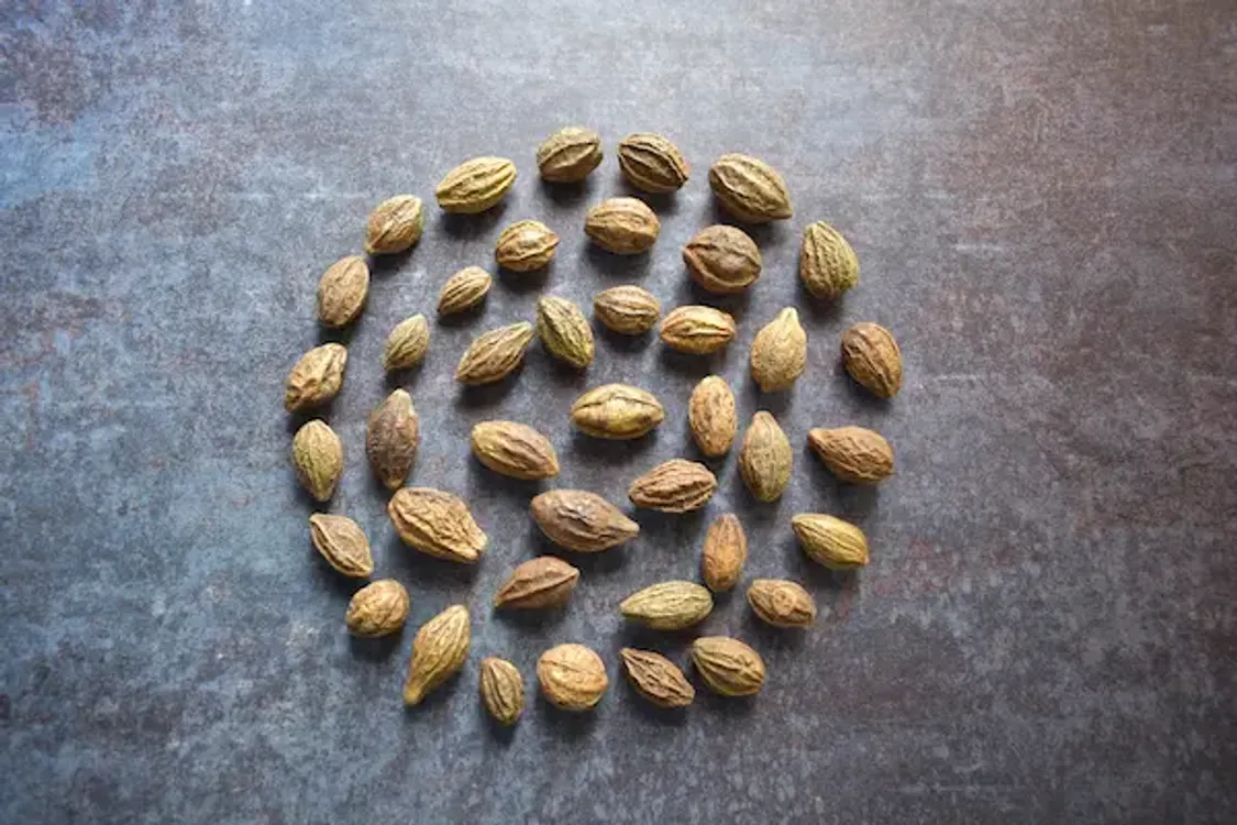 Harad (Haritaki) in Ayurveda: Health Benefits and Side Effects