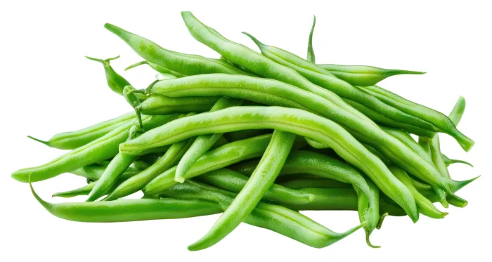 French Beans in Ayurveda Health Benefits and Side Effects