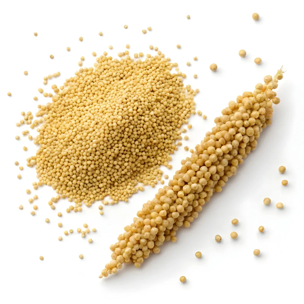 Kodo Millet — Varagu