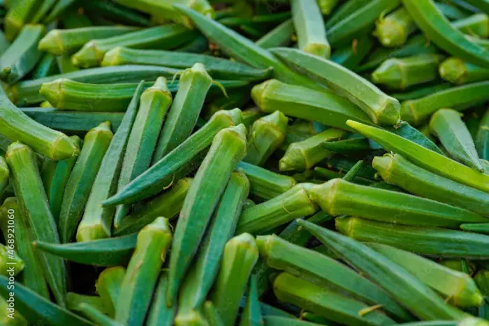 Lady Finger (Bhindi) Ayurvedic Uses, Benefits, and Side Effects