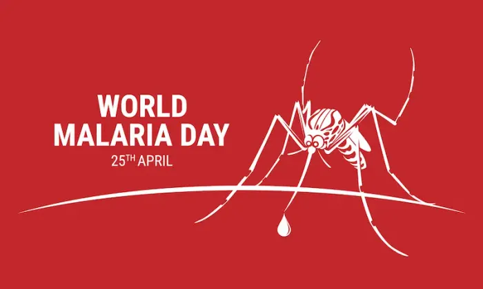 Malaria Diet Guide Best Foods to Eat and Avoid During Recovery