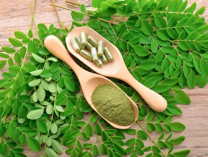 Does Moringa Help in Weight Loss Science-Backed Benefits