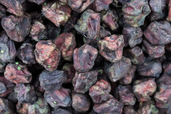 Singhara (Water Chestnut) Ayurvedic Benefits and Uses