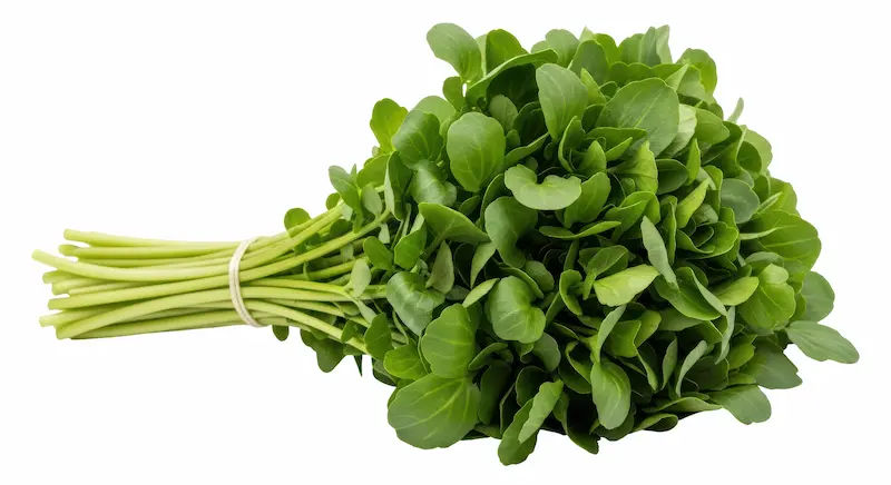Watercress Health Benefits, Uses, and Side Effects