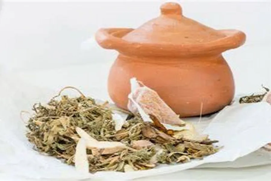Dashmularishta: Ayurvedic Uses, Benefits And Side Effects